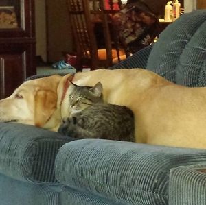 Meet your Posher, Charles or michelle